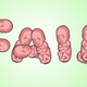 Illustration for article titled Worst State Fair Ever Has Squishy Fetus Toys for Unsuspecting Kids